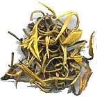 plante infusion