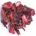 plante infusion