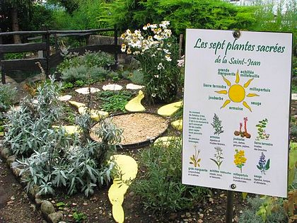 les herbes sacres de la st jean, jardin de la source