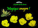 Ces secondes exceptionnelles o la fleur droule ses ptales,ce spectacle unique 