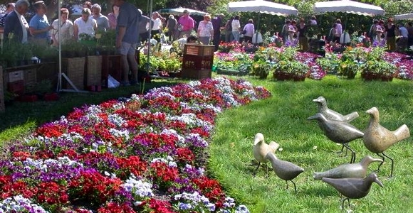 ftes aux plantes