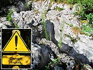le lapiaz, prs du sommet