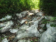 le sentier