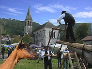St Aupre: la foire aux chvres