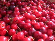 Moirans,fte de la cerise.
