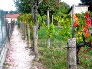 St Jean de Moirans, chemin des contrebandiers