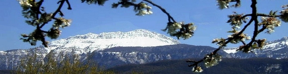 St Jean de Moirans, la Grande Sure.