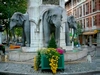 appele  les lphants ou surnomme " les quatre sans culs ", emblme de la ville.