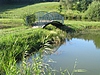 Etang des Chartreux de St Aupre. Un bijou pos dans lcrin dune petite prairie.