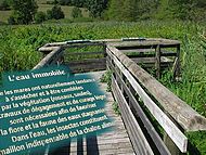 signaltique pdagogique
