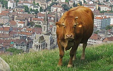 Voiron- depuis La Tour Barral