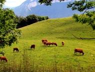 Chalais, sentier de Bellevue