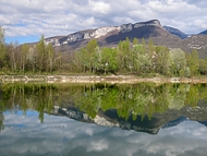 reflet de Chartreuse